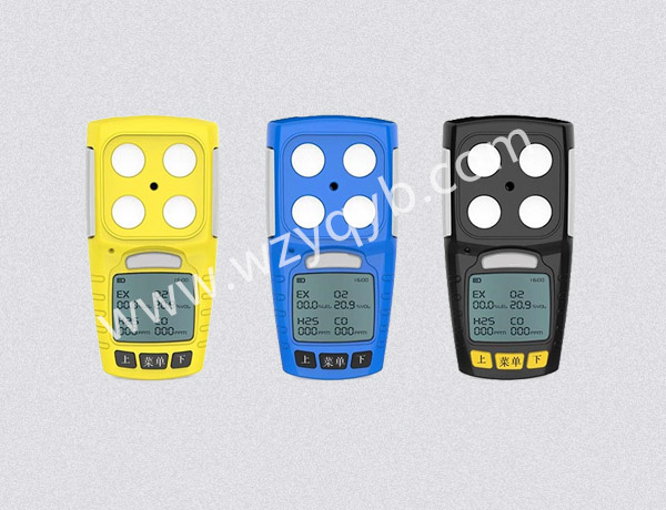便攜(xie)式氣體檢(jian)測儀多組(zu)分